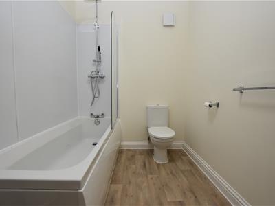 Picture 15